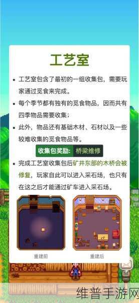 星露谷物语,全面攻略——如何高效扩展背包格子