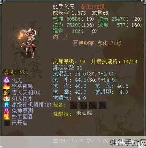 大话西游手游攻略,剑精灵与精卫深度对比分析
