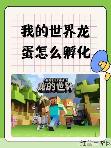 我的世界手游攻略，揭秘如何高效收取龙蛋