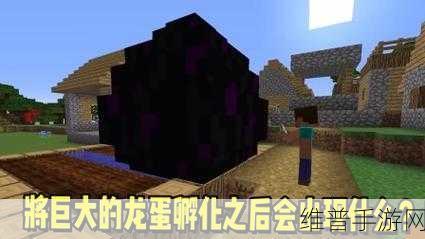 我的世界手游攻略，揭秘如何高效收取龙蛋