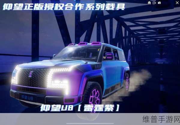 和平精英载具标记全攻略，精准定位，驰骋战场