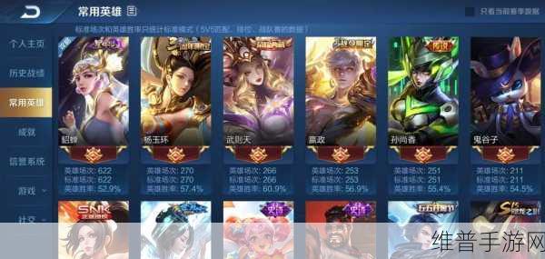 王者荣耀深度攻略,杨玉环被制裁后的应对策略与玩法解析