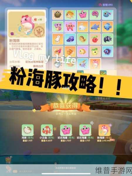 摩尔庄园手游渔网使用与购买全攻略