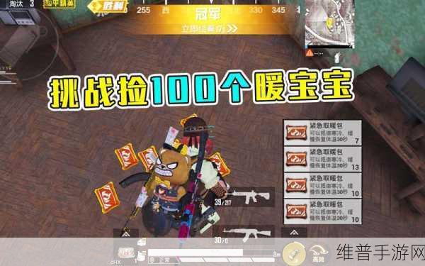和平精英取暖模式全攻略，掌握温暖，征服极寒