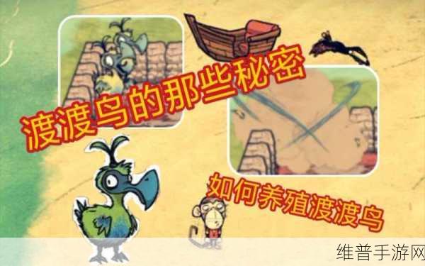 饥荒手游攻略，揭秘渡渡鸟的多样用途
