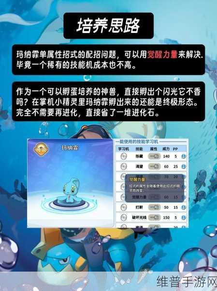 宝可梦探险寻宝2024，顶尖宝可梦选择及培养策略指南