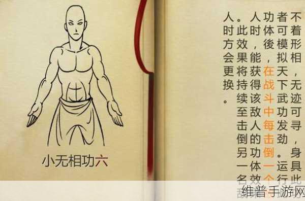 掌门霸图武功攻略大全，解锁武功秘籍的终极指南