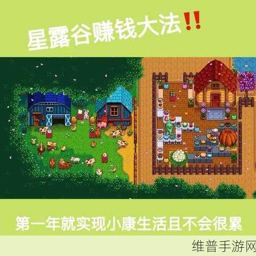 星露谷物语冬季赚钱全攻略，解锁财富新途径