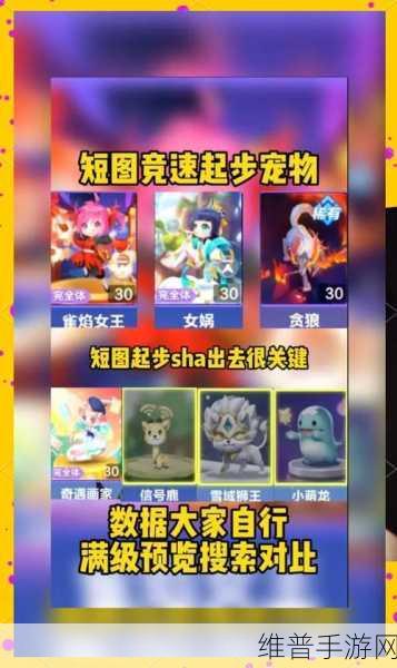 QQ飞车手游宠物排行榜深度解析与攻略指南