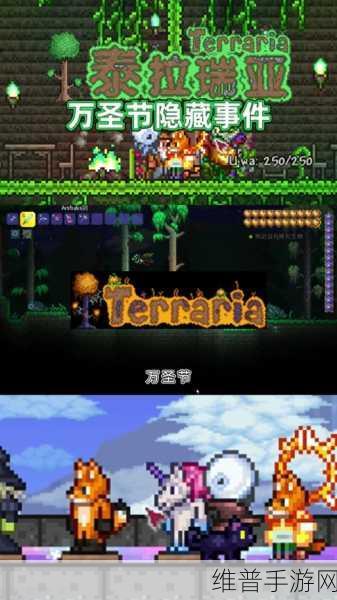 泰拉瑞亚手机版,神圣连弩全面介绍
