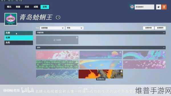 守望先锋归来藏品系统深度解析，获取方法与作用详解