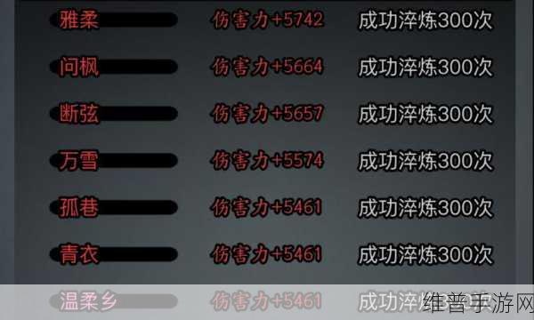 放置江湖深度攻略，传承与氪金武功保留问题详解