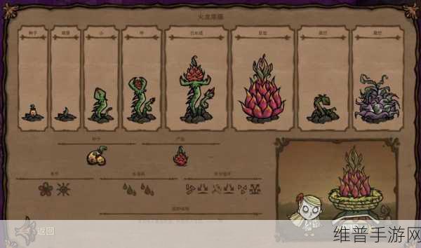 饥荒联机版新农场全农作物属性深度解析