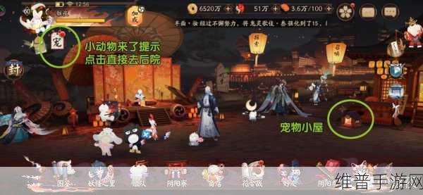 阴阳师体验服后院新上线四只小动物获取攻略详解