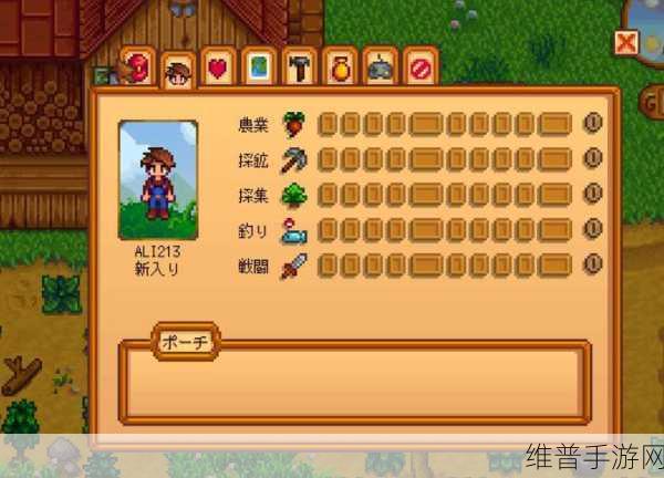 星露谷物语手游攻略，离婚后孩子的归属与抚养指南