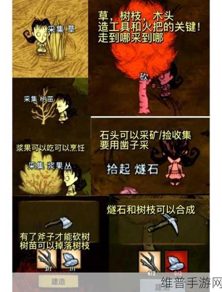 饥荒世界探秘，揭秘与猪王交易的奇异法则全攻略