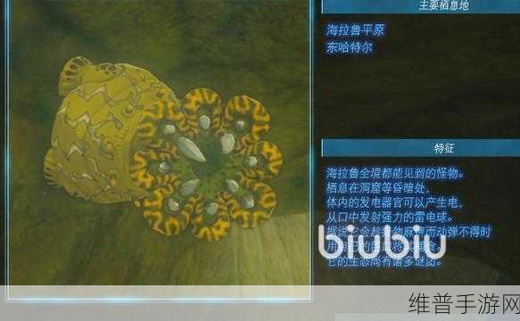 塞尔达传说王国之泪，解锁只属于我的怪物收藏品3任务全攻略