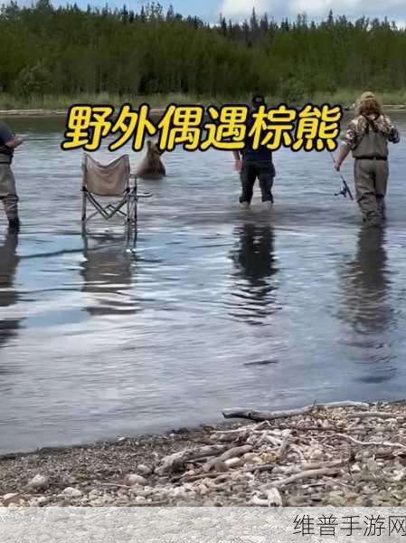 棕熊露营旅行,钓鱼玩法深度攻略与技巧大全