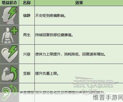 暗区突围药品全面一览及效果深度解析