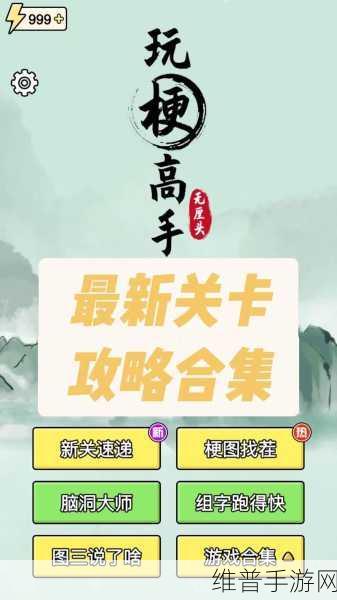 玩梗高手女生宿舍禁忌通关秘籍，解锁隐藏乐趣的终极攻略