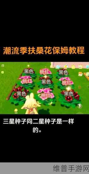 心动小镇扶桑花种植全攻略，打造你的梦幻花海