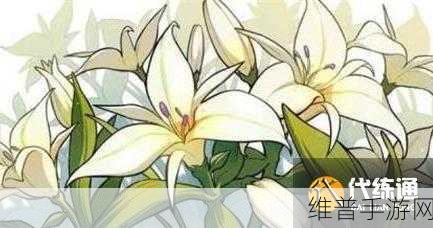 原神塞西莉亚花，解锁角色突破的关键之花