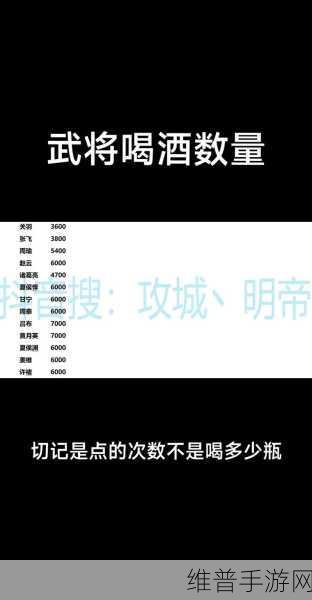 攻城掠地手游深度攻略,杜康酒的妙用与策略
