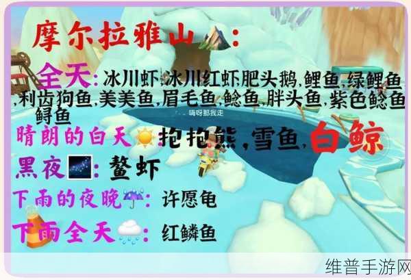 摩尔庄园手游深度攻略，神秘湖钓鱼鱼种及位置详解