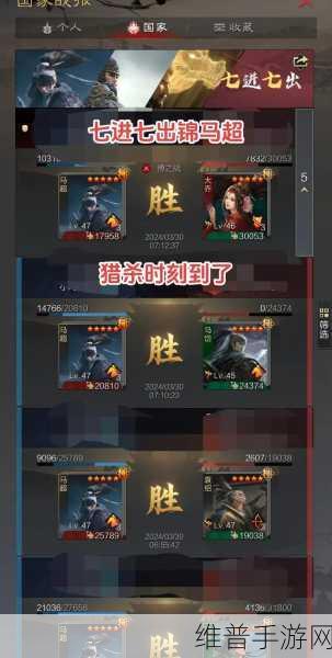 熊猫玩率土之滨安卓APK，深度攻略与数据分析