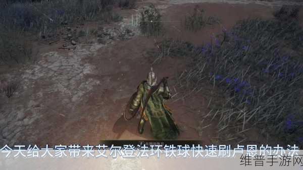 艾尔登法环高效刷钱攻略，手游公司视角下的深度解析