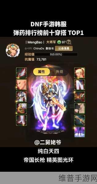 DNF手游韩服弹药专家技能加点深度攻略与实战推荐