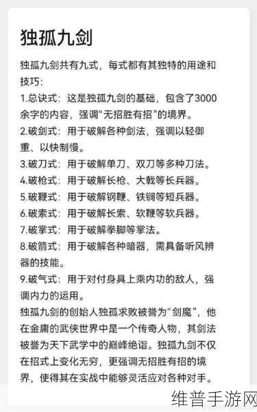 新仙剑奇侠传深度剖析，独孤剑圣的角色定位与资源管理艺术解析