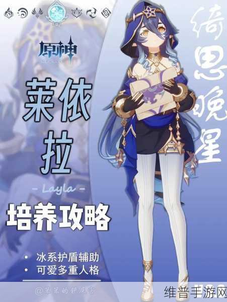 原神莱依拉最强阵容深度解析与搭配策略