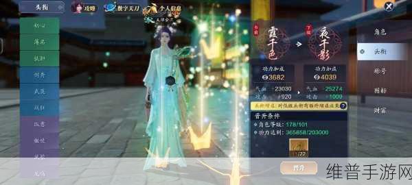 天涯明月刀手游深度攻略，探索潜龙之渊的奥秘