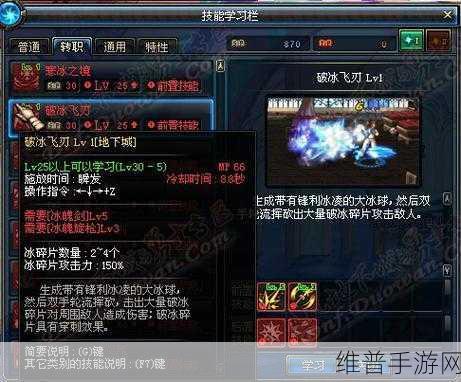 DNF手游冰结师武器深度剖析，铸就无敌之路的终极选择