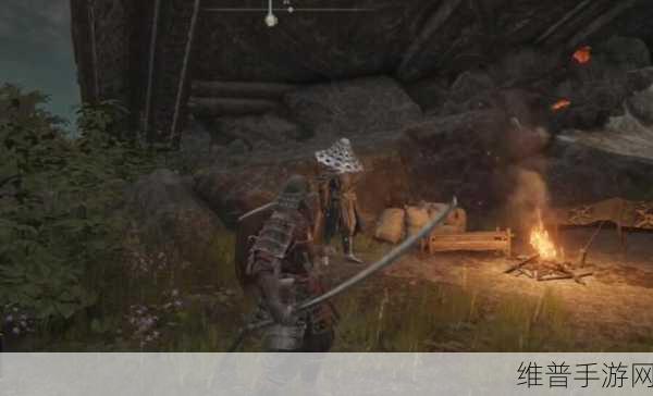 艾尔登法环深度攻略，太刀长牙获取全解析