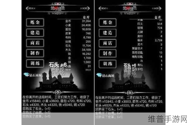 地下城堡2全面攻略，最强阵容搭配推荐及高效资源管理技巧