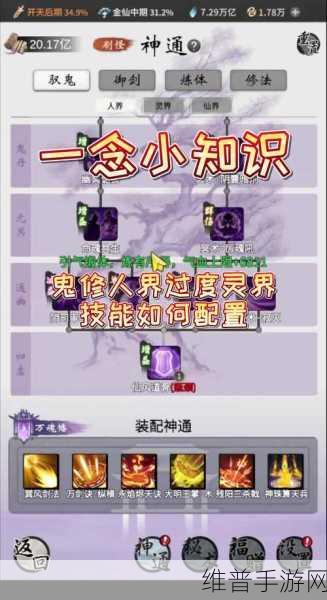 一念逍遥手游深度攻略，共同修炼的意义与策略