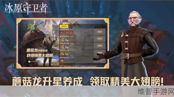 冰原守卫者手游，全面攻略助你快速升级