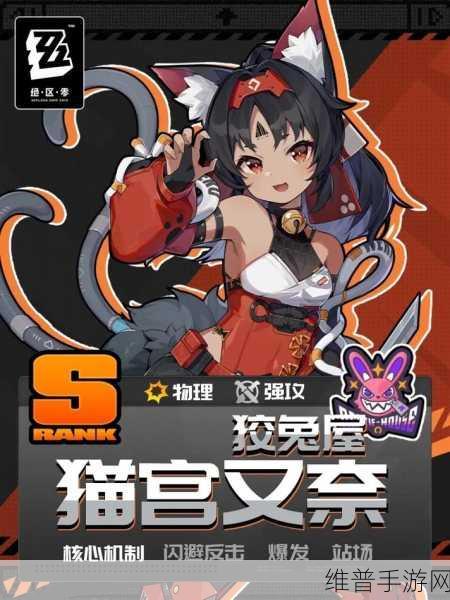 绝区零猫又养成全攻略，解锁战斗与萌趣的双重乐趣