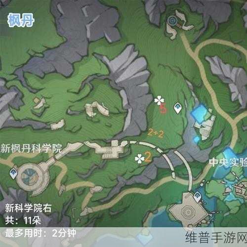 原神蒙德地区甜甜花采集全攻略，位置详解与路线图指引