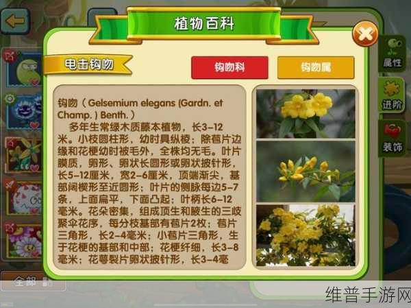 植物大战僵尸植物百科，作用解析、管理技巧与价值提升
