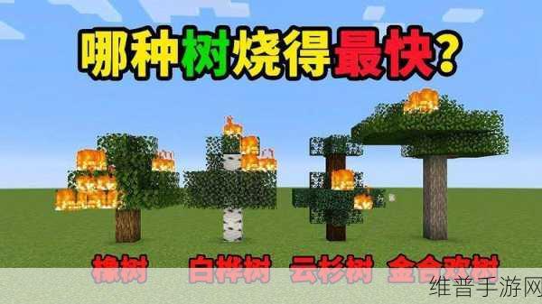我的世界手游制造篝火与营火，以及烧树的全面攻略