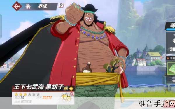 航海王热血航线，无尽航程黑胡子获取与玩法深度解析