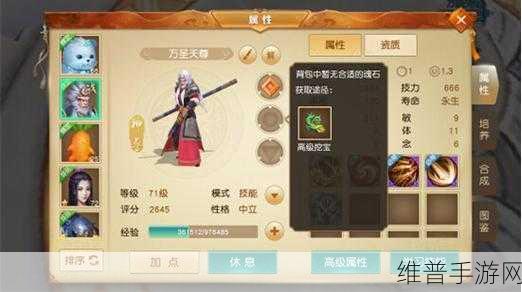 2024天下手游天机职业全等级段装备精选与搭配新鲜攻略