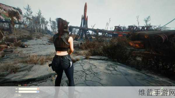 辐射4超强队友获取攻略，打造无敌探险小队