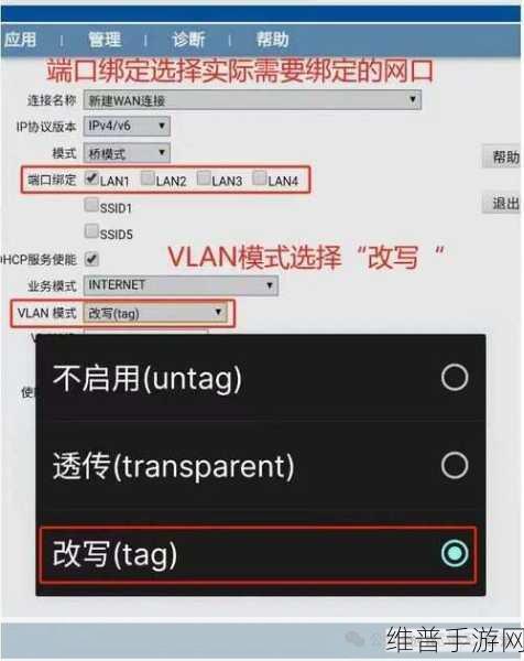 手游攻略，深度解析如何实现不同网络的桥接，优化玩家体验