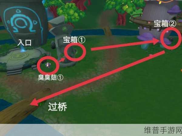 摩尔庄园手游宝箱鉴定攻略详解，深入探索鉴定玩法，全面揭秘宝箱开启条件与奖励获取路径