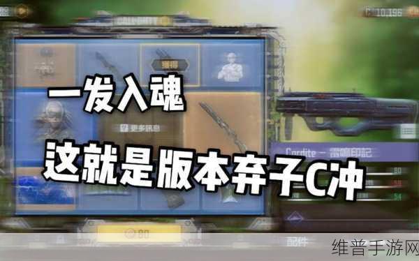 全面解析，使命召唤素子获得方法揭秘，助你轻松解锁游戏新篇！