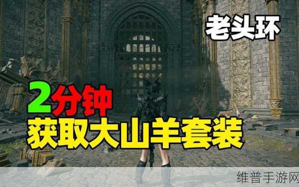 艾尔登法环深度攻略，山羊套补救方法与全面解析